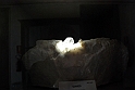 Museo Di Scienze Naturali - Minerali 84
